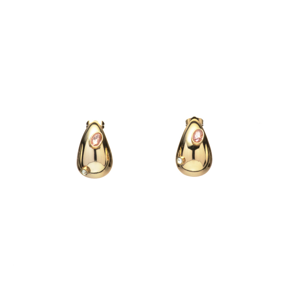 Embellished Drop Earrings