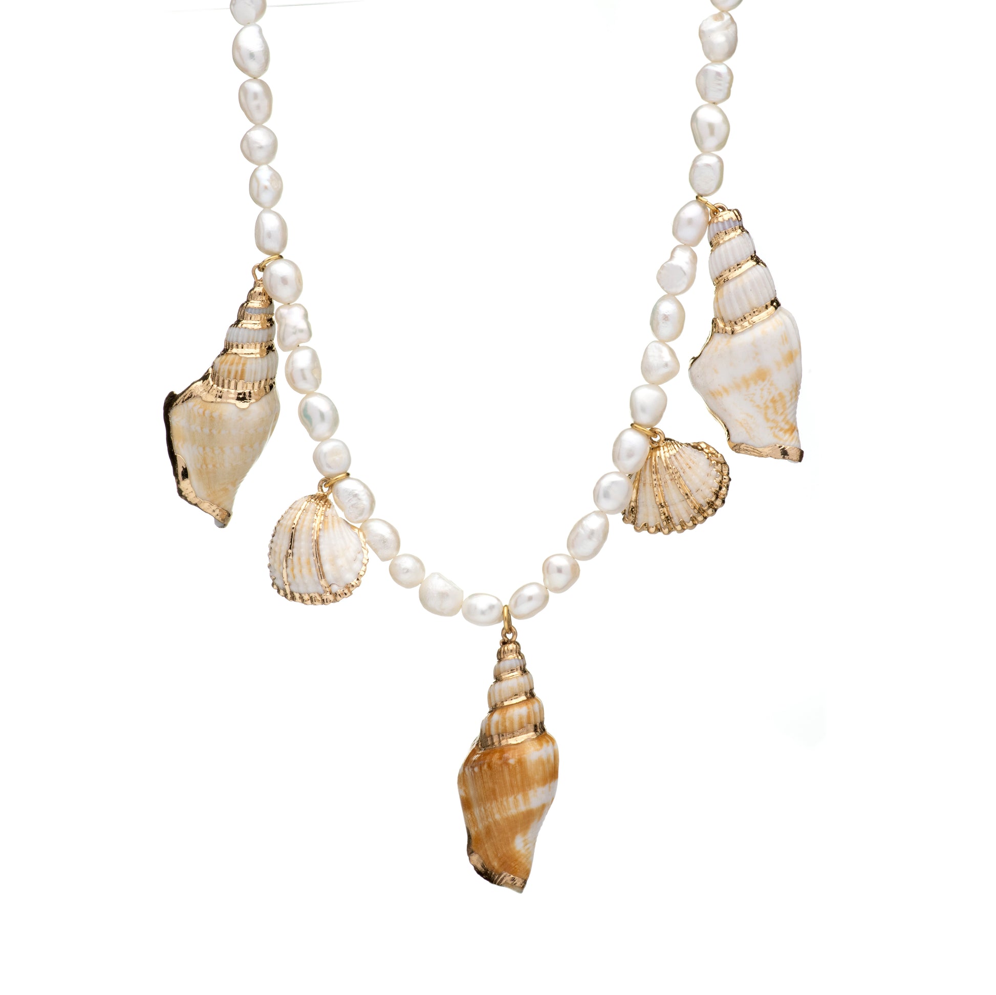 Seashell Necklace