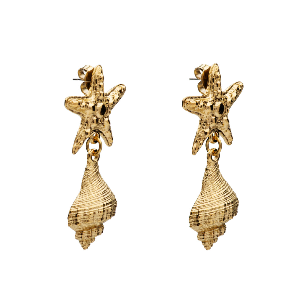 Starfish Seashell Earrings