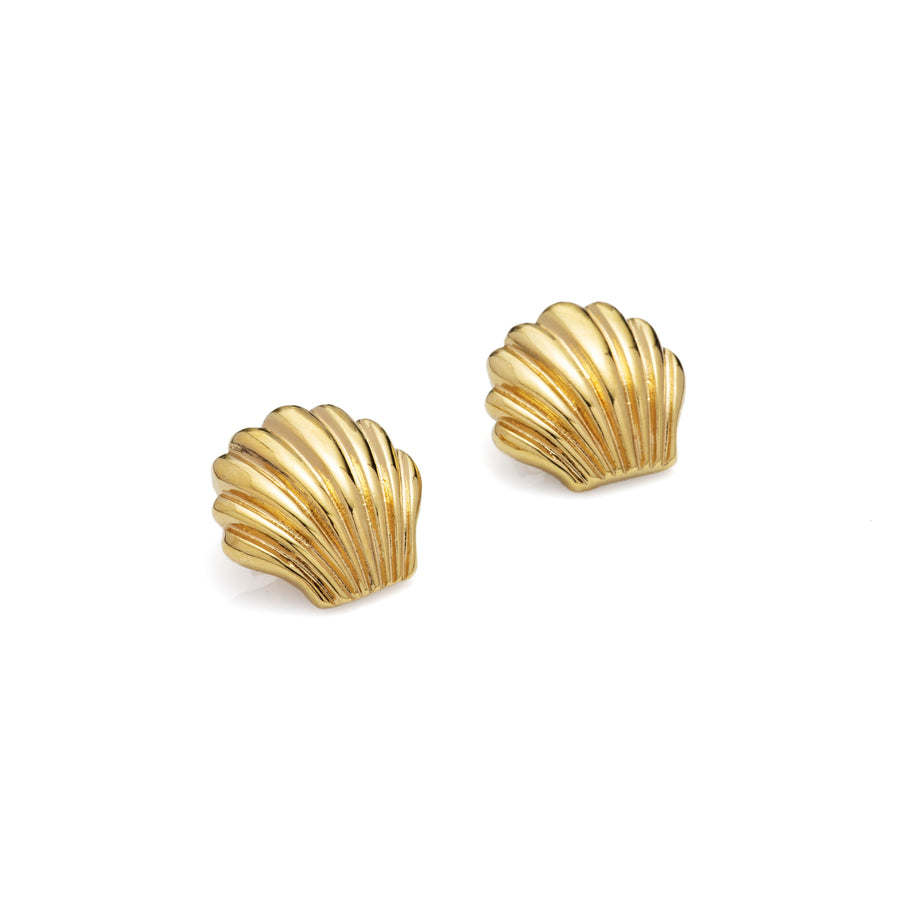 Shell Stud Earrings 1