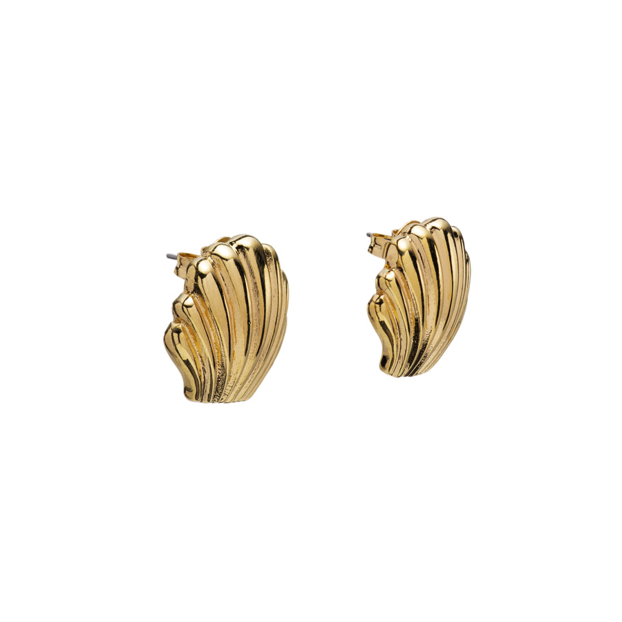 Shell Stud Earrings 2