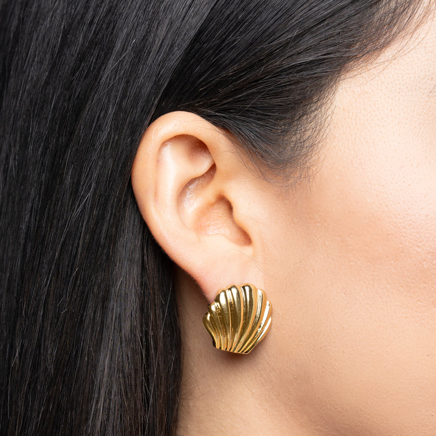 Shell Stud Earrings 4