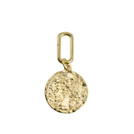 Coin Charm